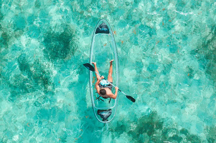 nature at the center