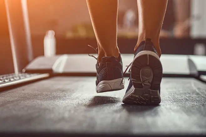 Wellness & Movement